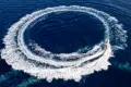 DJI_0037